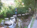 Sweden 2006-07 254